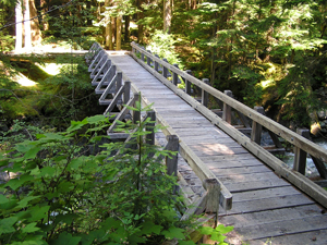 Elwha River Trails