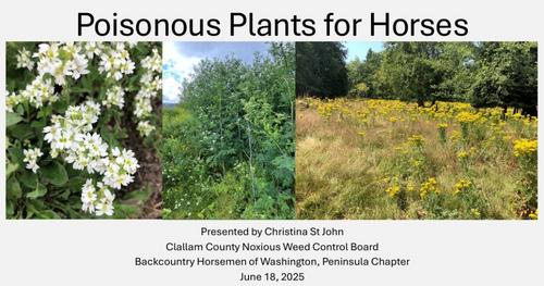 Christina St. John - Poisonous Plants for Horses Christina St. John - Poisonous Plants for Horses